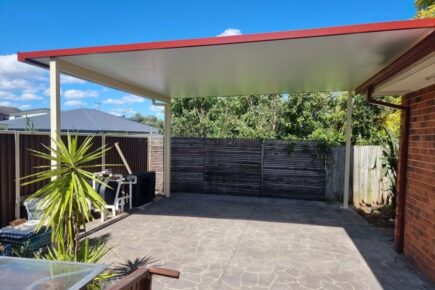 Backyard patio with roof and plants