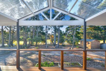 Backyard view from covered patio overlooking trees and shed.