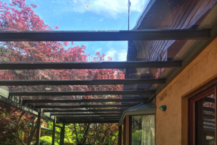 Transparent patio roof with trees and sky view.