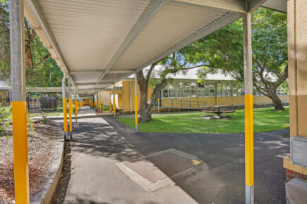 School walkway with trees and yellow poles.